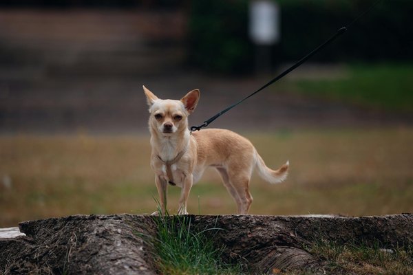 What are the emerging trends in UK technology for virtual reality?